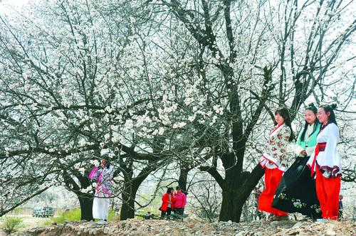 007球探即时比分足球数据